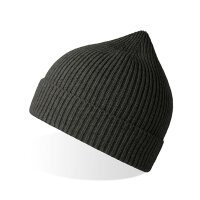 Andy Beanie