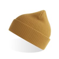 Nelson Beanie