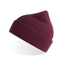 Nelson Beanie