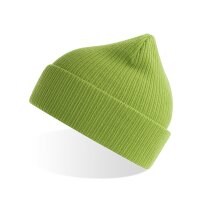 Nelson Beanie