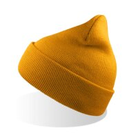 Wind Beanie Recycled
