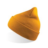 Wind Beanie