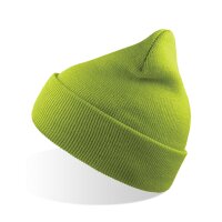 Wind Beanie