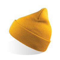 Wind Beanie