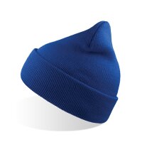Wind Beanie