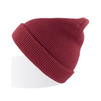 Blog Beanie