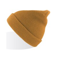 Blog Beanie