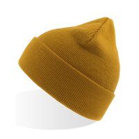 Eko Beanie