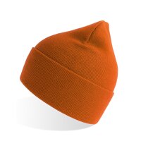 Pure Beanie