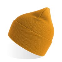 Pure Beanie