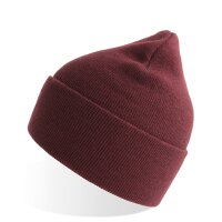 Pure Beanie