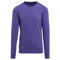 Light Crew Sweatshirt