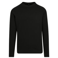 Raglan Sweat Crewneck