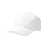 Pro-Style Heavy Brushed Cotton Cap