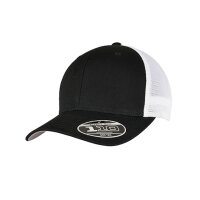 110 Mesh 2-Tone Cap
