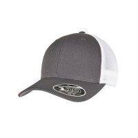 110 Mesh 2-Tone Cap