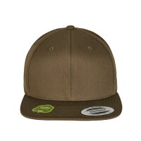 Organic Cotton Snapback