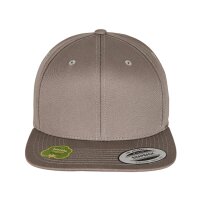 Organic Cotton Snapback