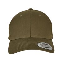 Curved Classic Snapback