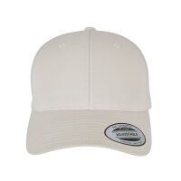 Curved Classic Snapback