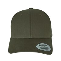 Curved Classic Snapback