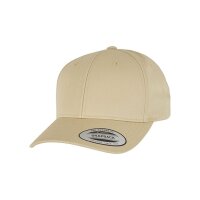 Curved Classic Snapback