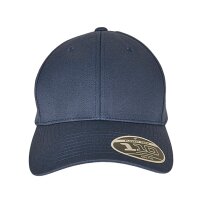 Flexfit 110 Curved Visor Snapback