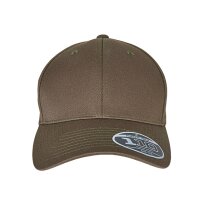 Flexfit 110 Curved Visor Snapback