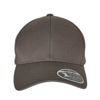 Flexfit 110 Curved Visor Snapback