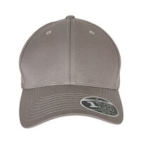 Flexfit 110 Curved Visor Snapback