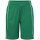 Junior Basic Team Shorts