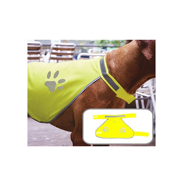 Stretchy Hi-Vis Safety Vest For Dogs Buenos Aires
