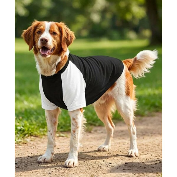 Dogs Raglan T-shirt