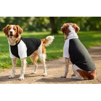 Dogs Raglan T-shirt