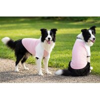 Dogs Raglan T-shirt