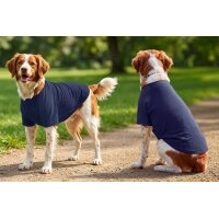 Dogs Raglan T-shirt