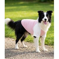 Dogs Raglan T-shirt