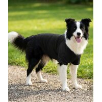 Dogs Raglan T-shirt
