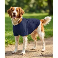Dogs Raglan T-shirt