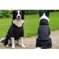 Dogs Hoodie