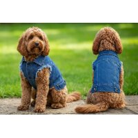 Dogs Denim jacket