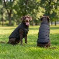 Dogs Puffer jacket