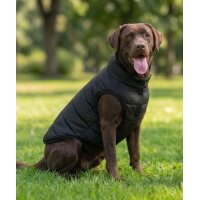 Dogs Puffer jacket