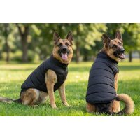 Dogs Puffer jacket