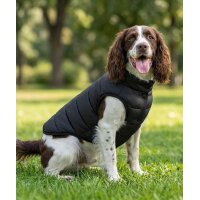 Dogs Puffer jacket