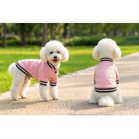 Dogs Varsity jacket