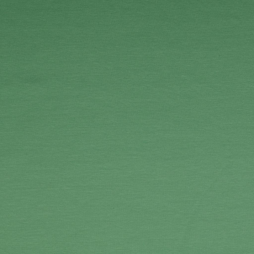 Organic Jersey Uni