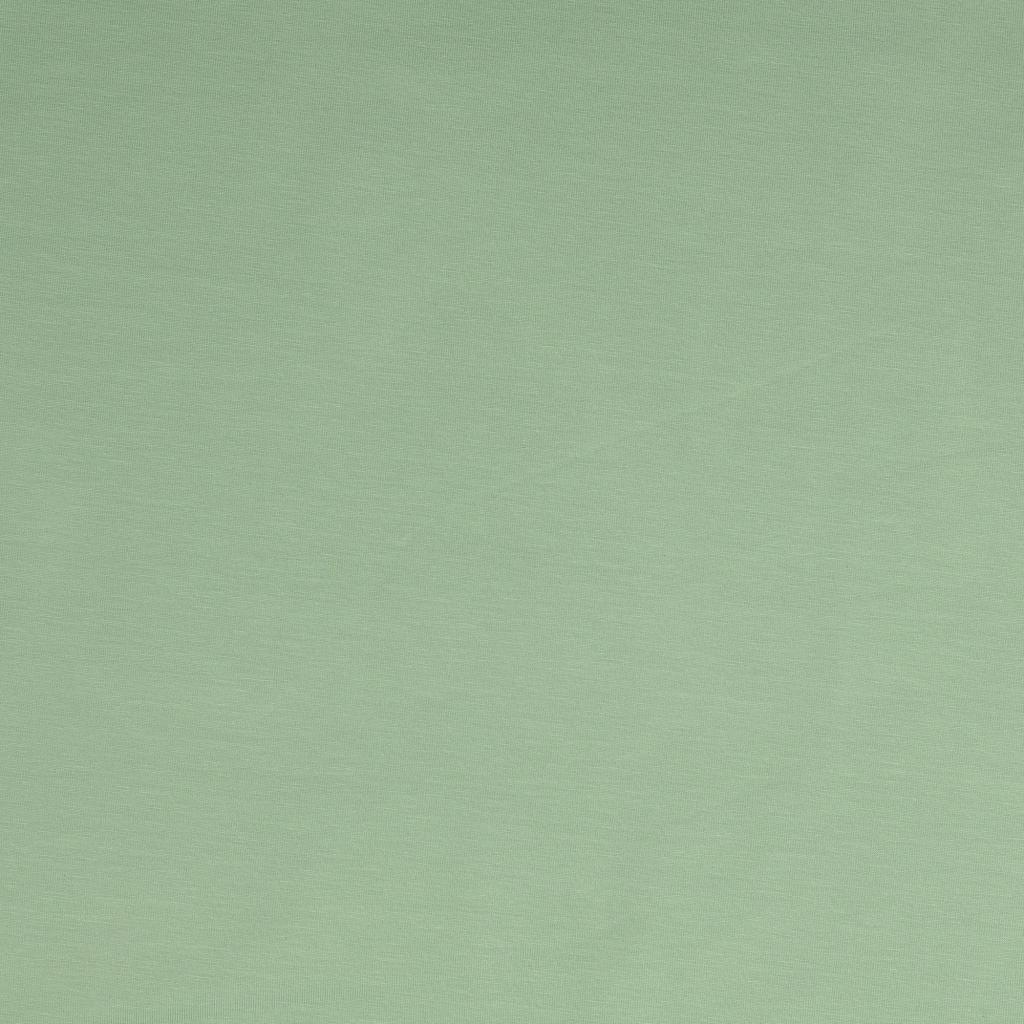 Organic Jersey Uni