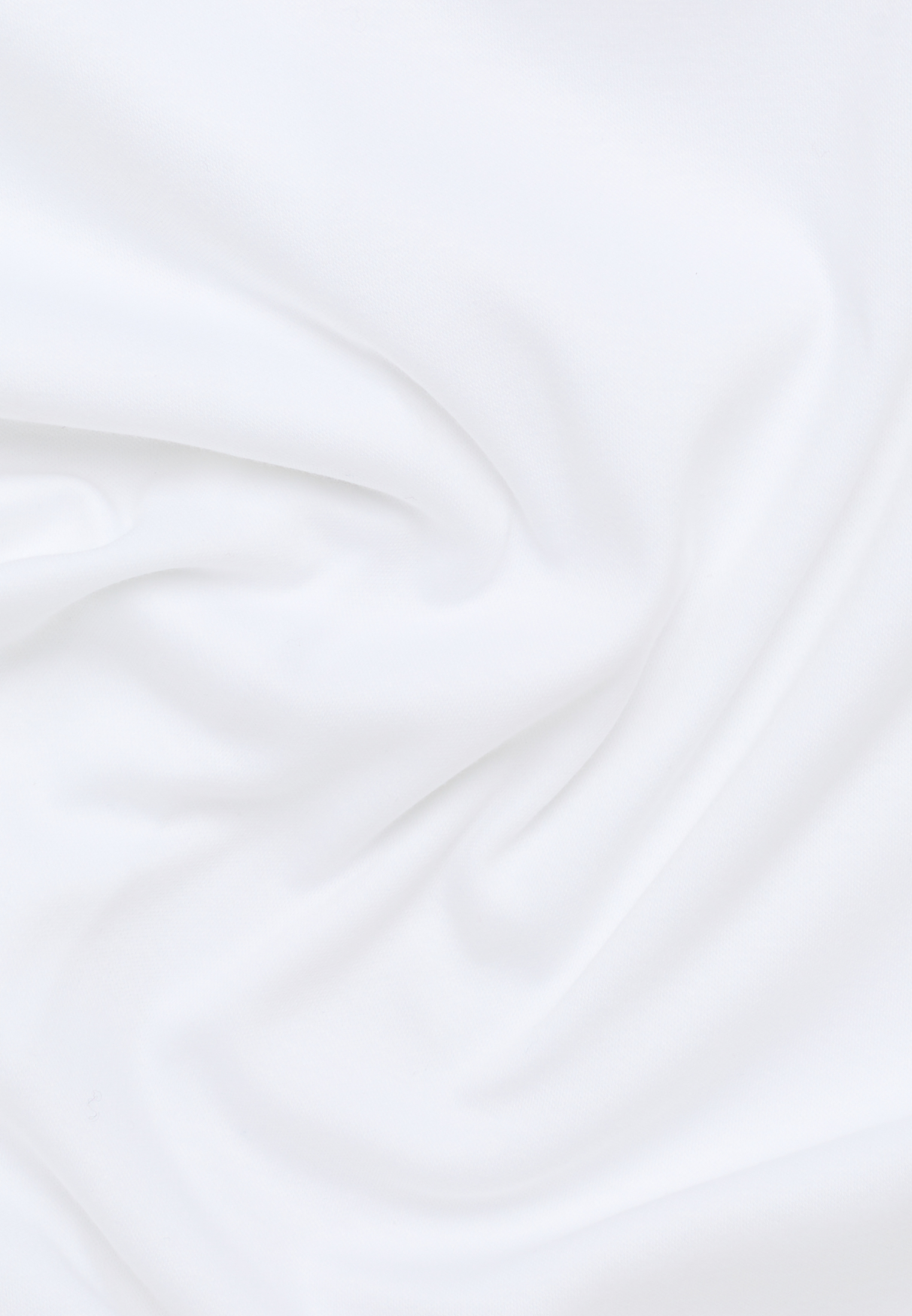 DF05 Damenbluse Langarm (Standard)