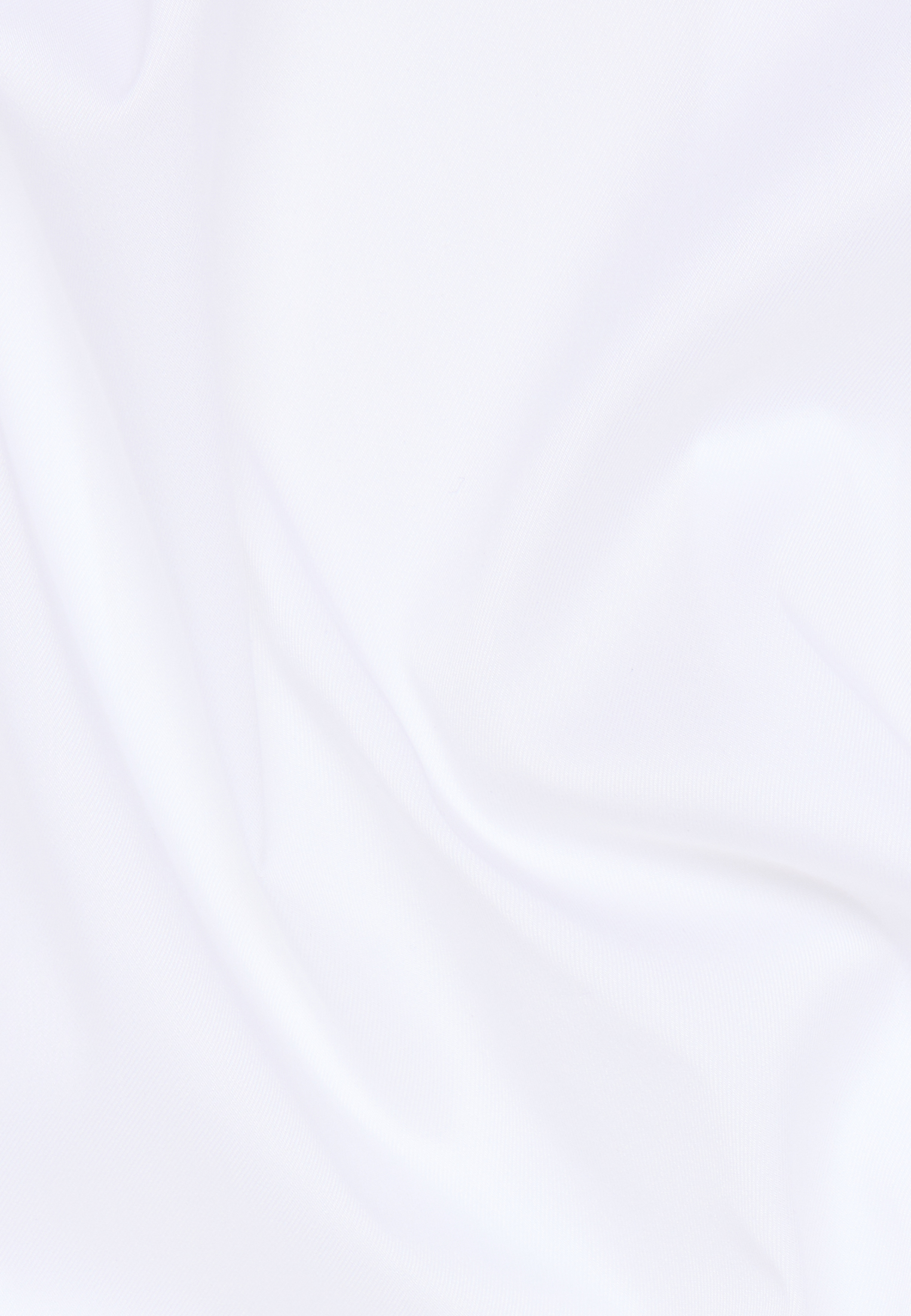 DF04 Damenbluse Langarm (Standard)